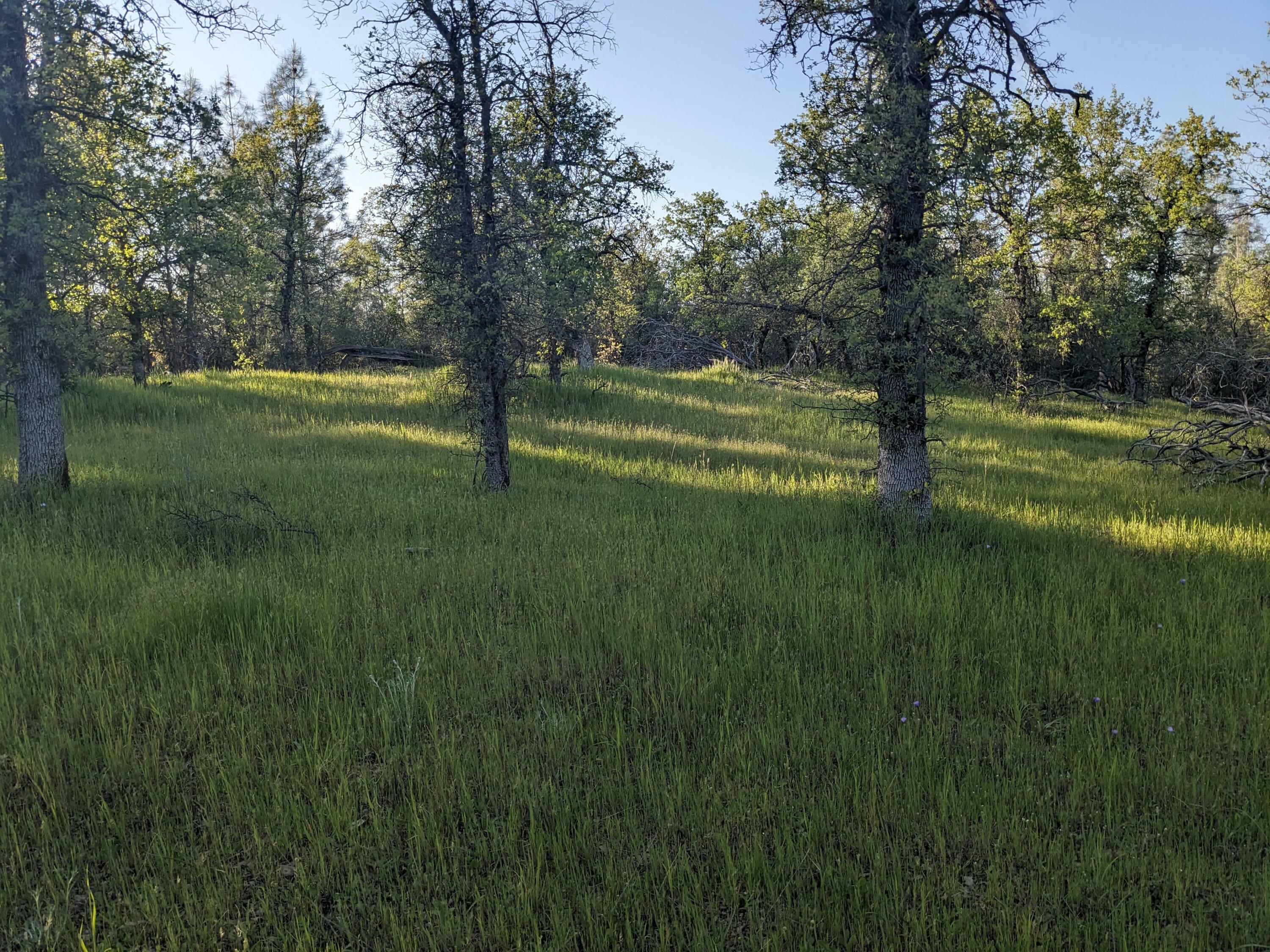 Lot 8 Neal Lane  Redding CA 96003 photo