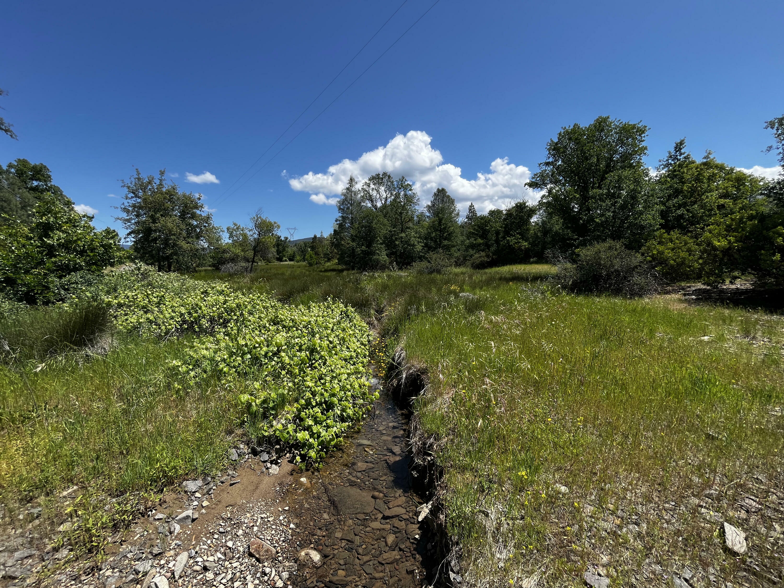 Property Photo:  29609 Cedar Creek School Road  CA 96084 