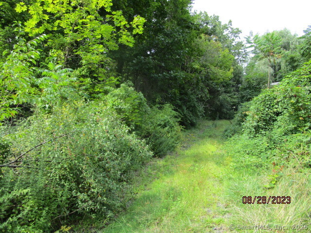 Property Photo: 175 Colony Street CT 06518
