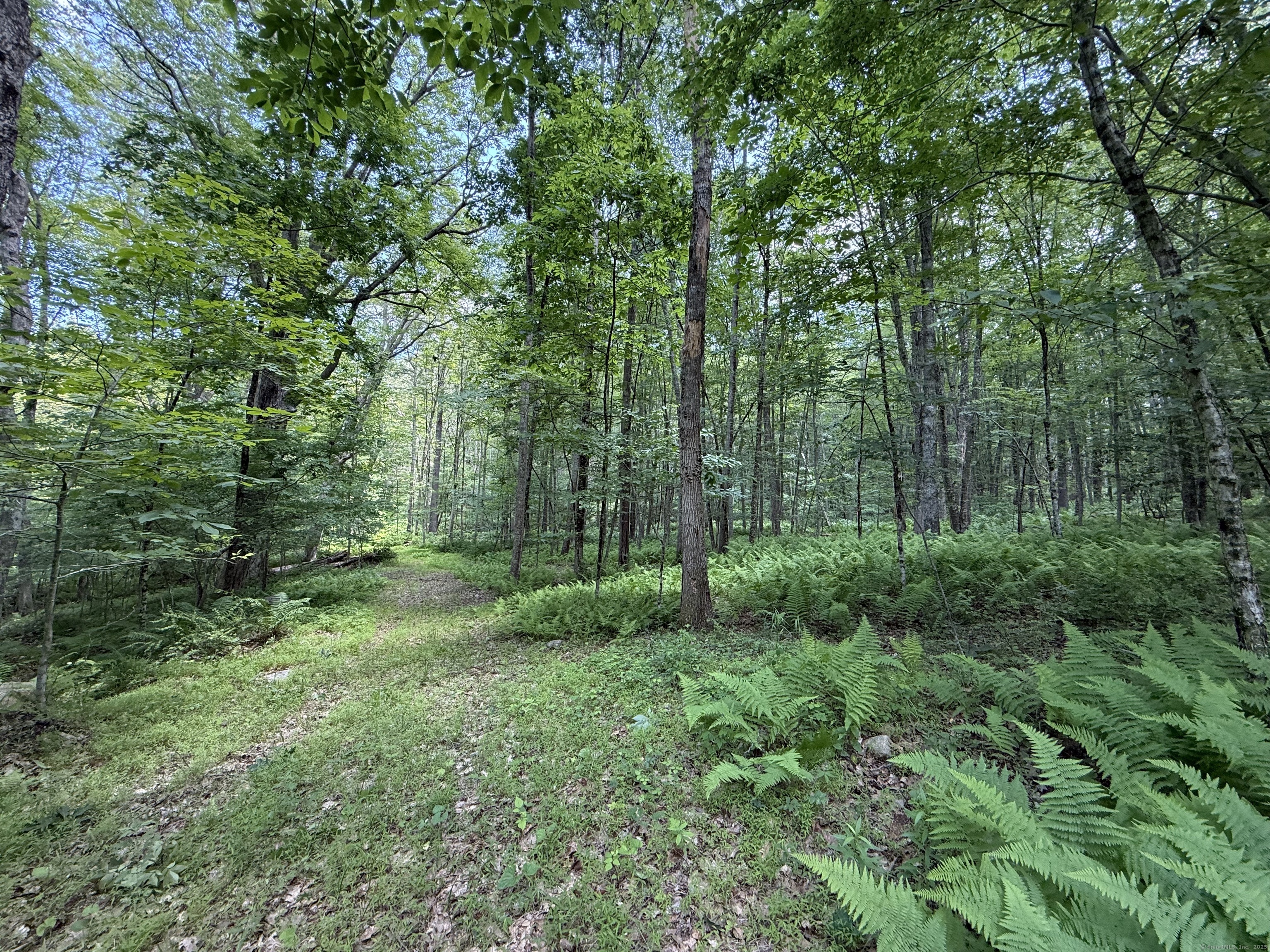 Property Photo: 350 Breakneck Hill Road CT 06241