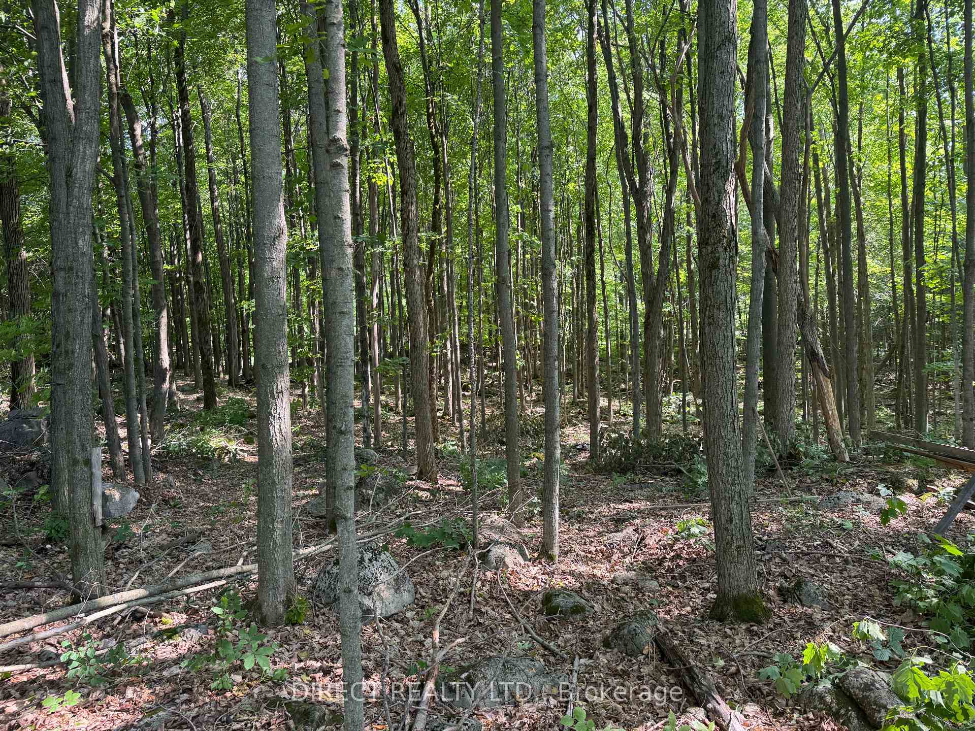 Property Photo:  Lot 15 James Street  ON K0K 2L0 