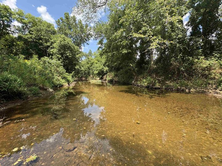 Property Photo:  420 Strawberry River Road  AR 72565 