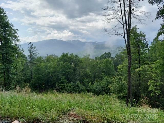 Property Photo: Lot 19 Summit View Parkway NC 28777