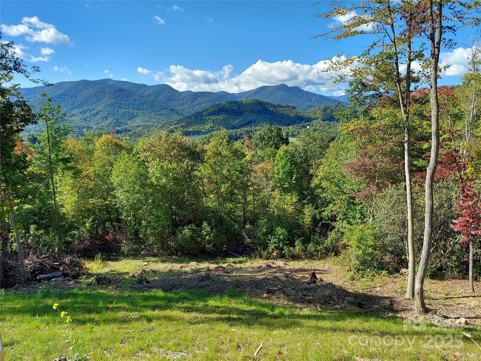 Property Photo:  Lot 19 Summit View Parkway  NC 28777 