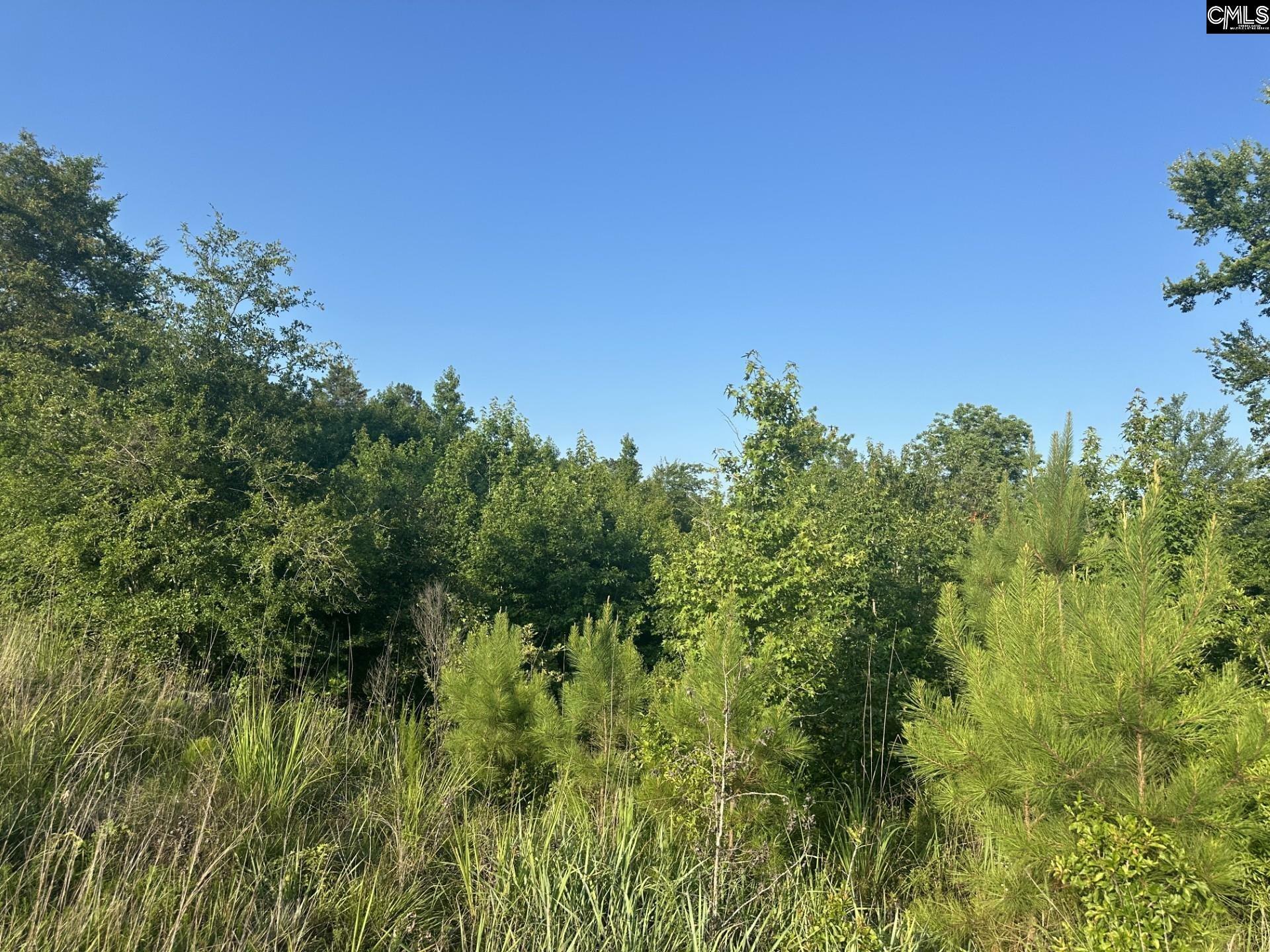 Property Photo: 00 Little North Carolina SC 29178
