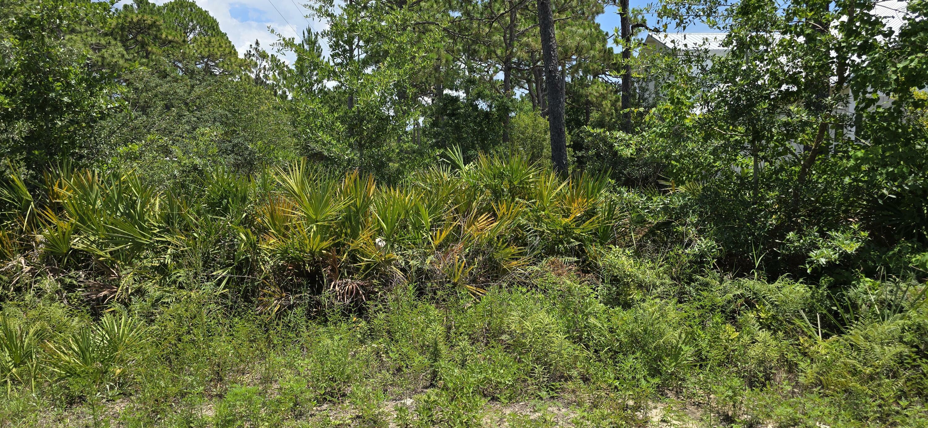 Property Photo: Lot #24 Elm Street FL 32459