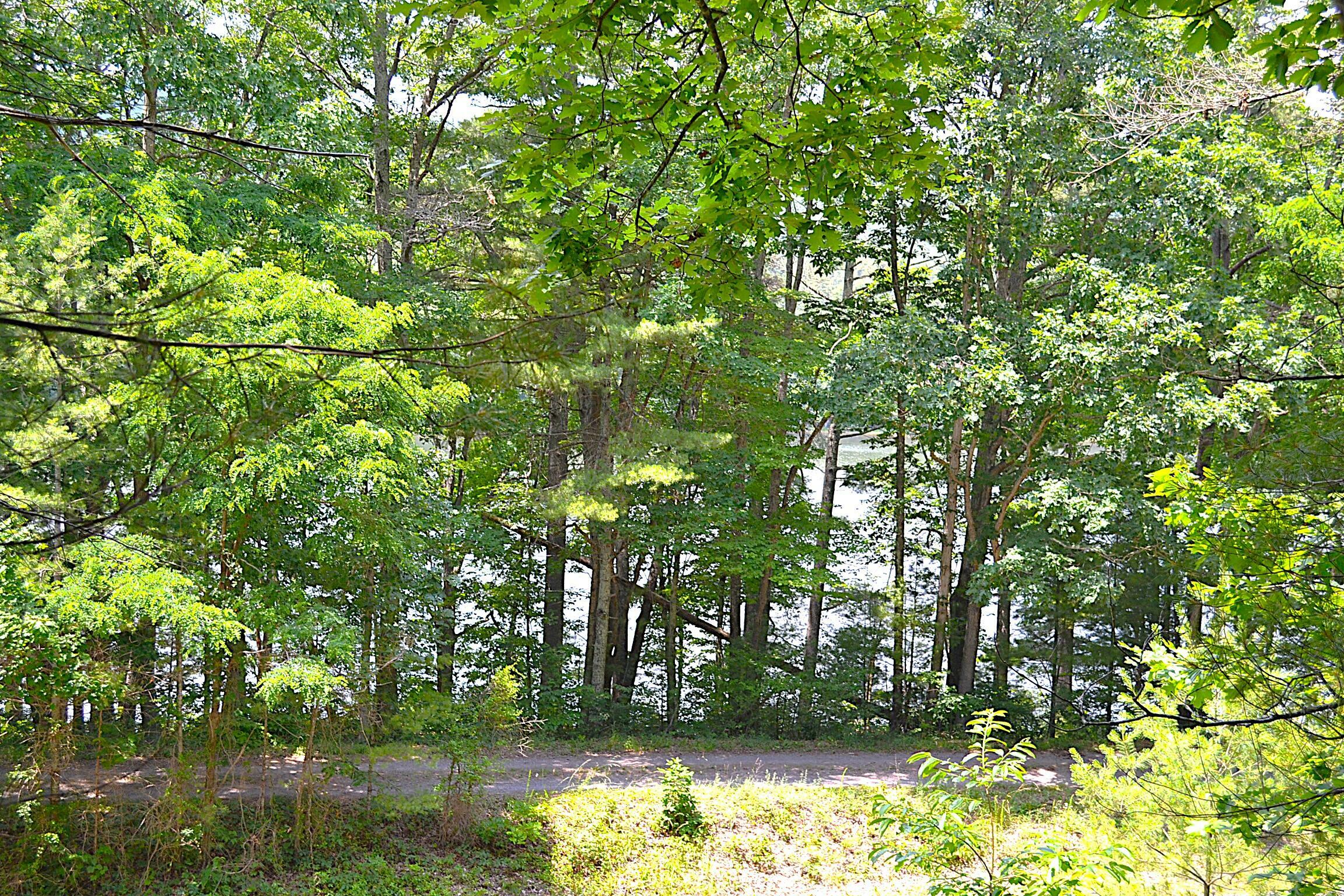 Property Photo: Moncove Lake Rd WV 24941
