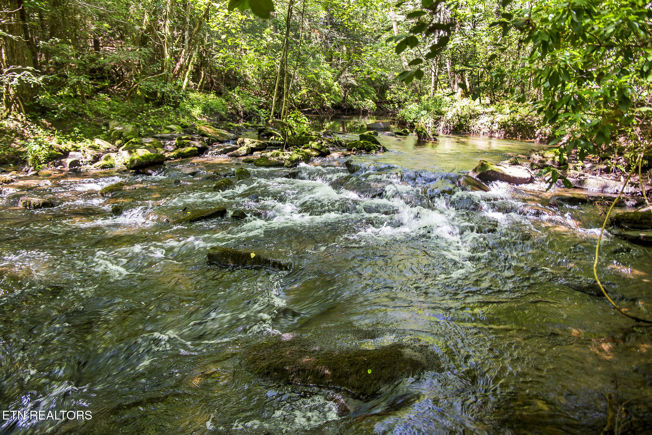 Property Photo:  Lot 18 Sparta Drive  TN 38555 