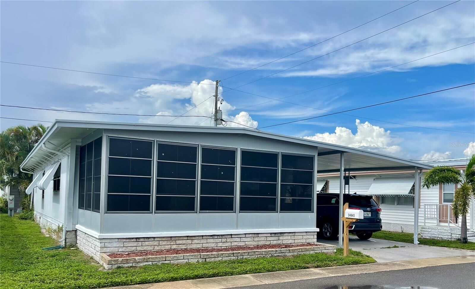 Property Photo:  34645 Camphor Drive N  FL 33781 