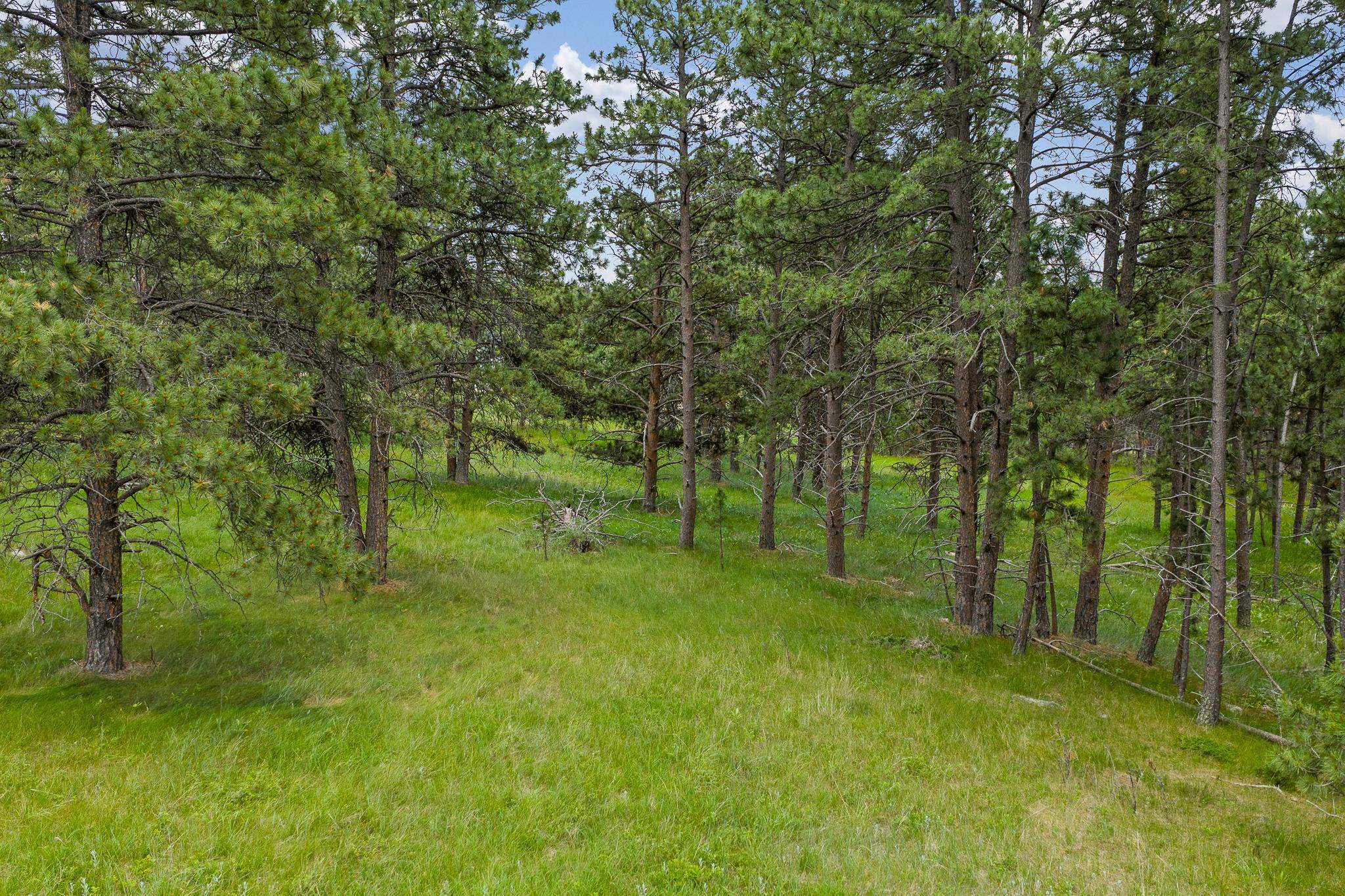 Property Photo: Tbd Lot 1 Sun Ridge Road SD 57702
