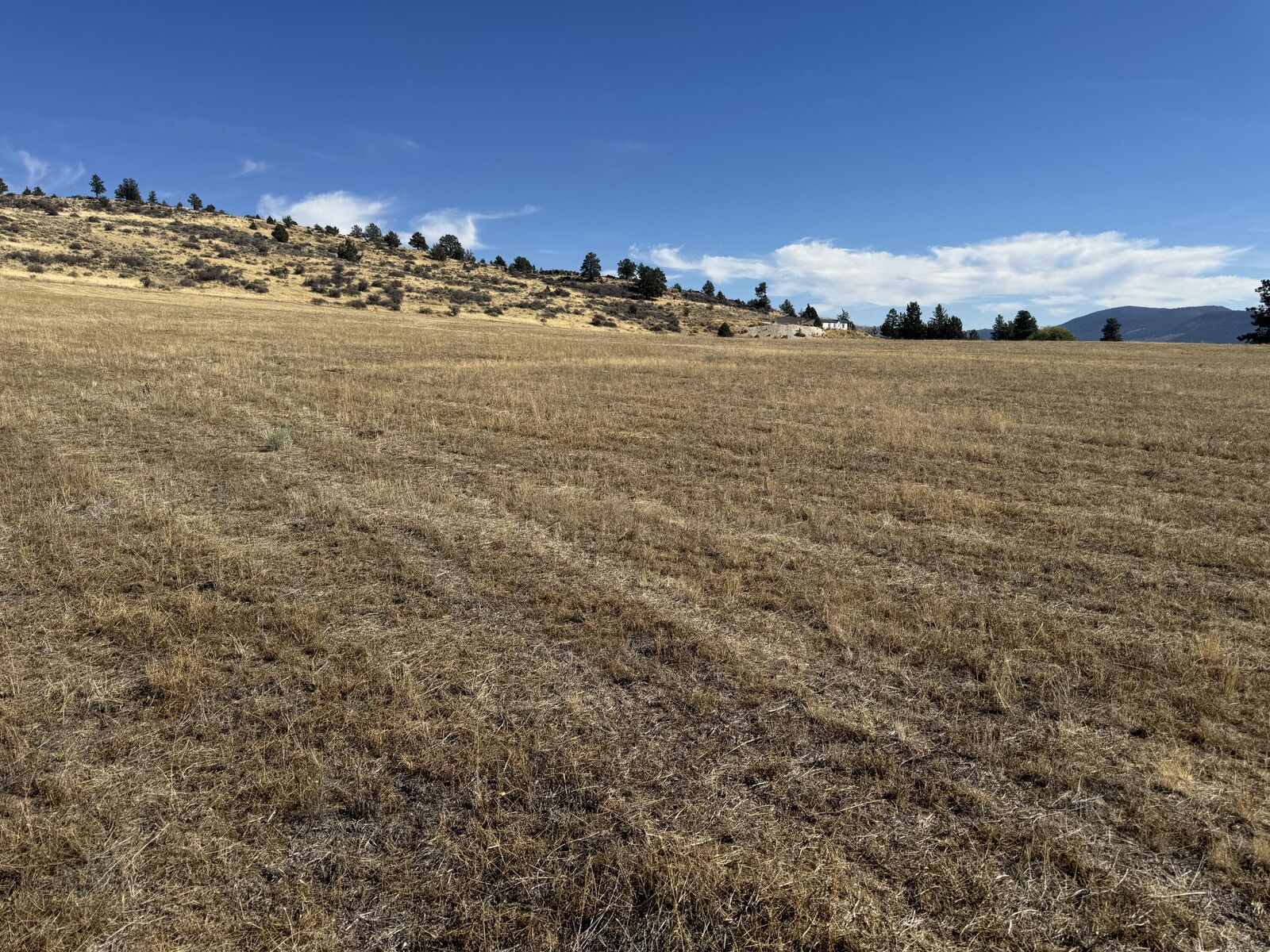 Property Photo: Hilyard Avenue OR 97603
