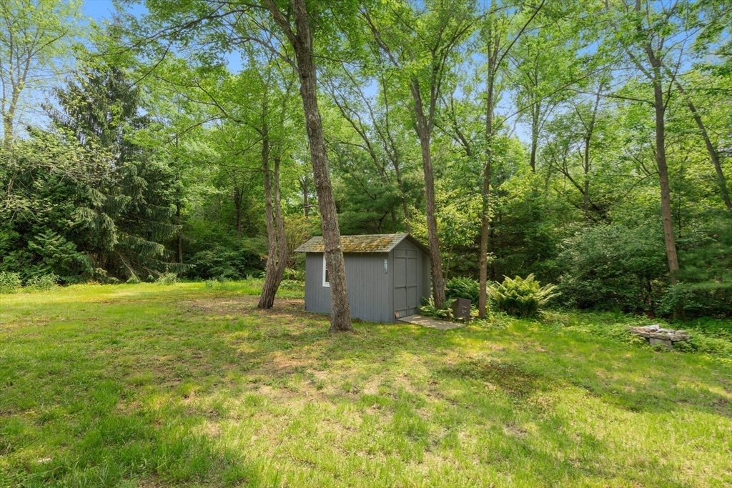 Property Photo:  379 Dedham Avenue  MA 02492 