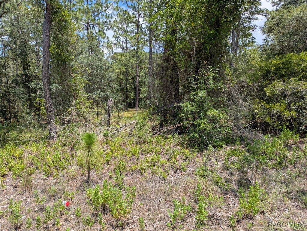Property Photo:  Tbd NW Ridgewood Road  FL 34431 