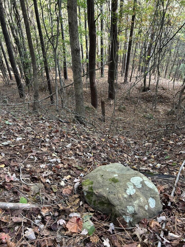 Property Photo:  000 Lone Mountain Road  TN 37338 