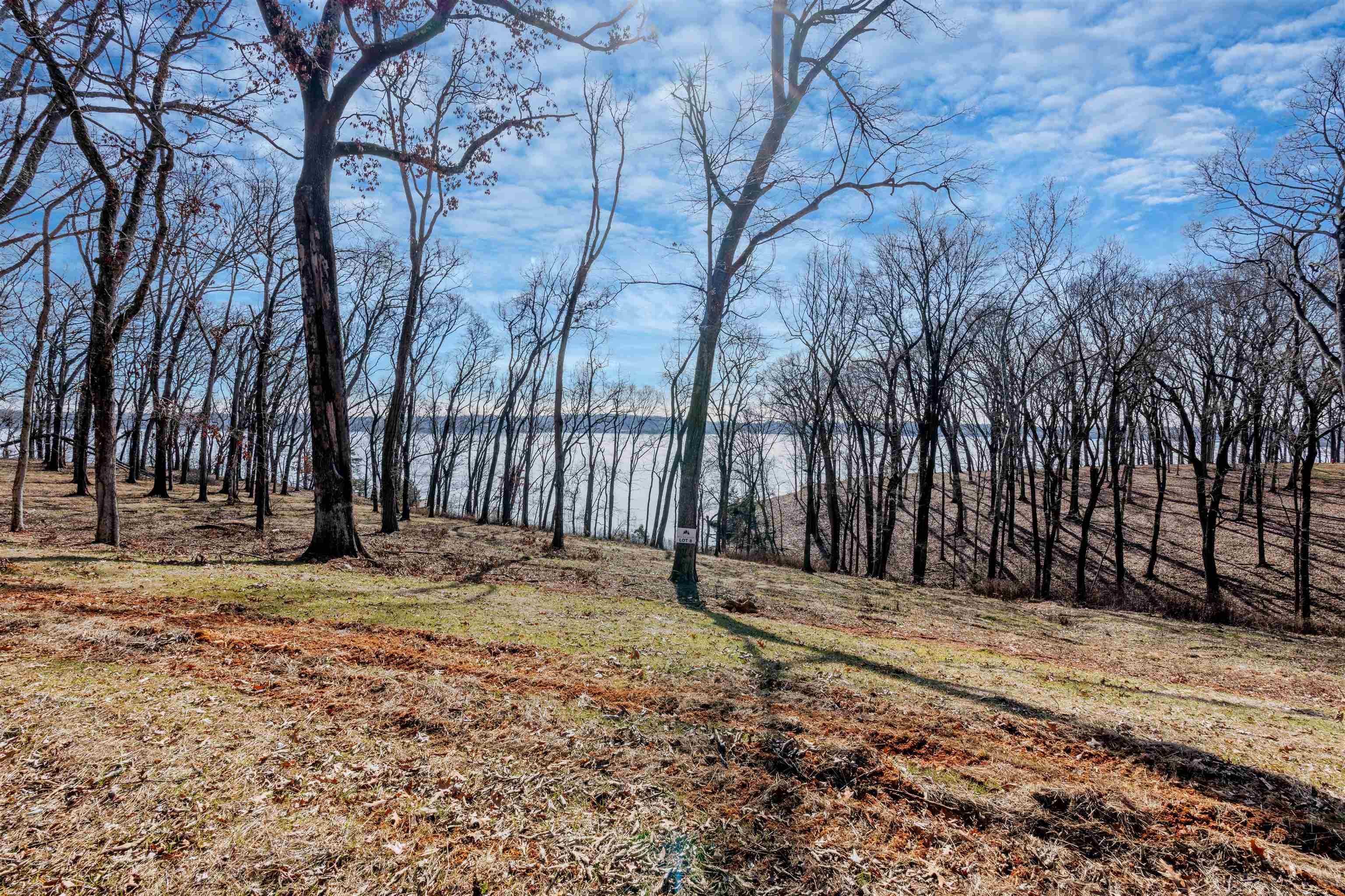 Property Photo: 00 Highland Cove AL 35630 - FLORENCE