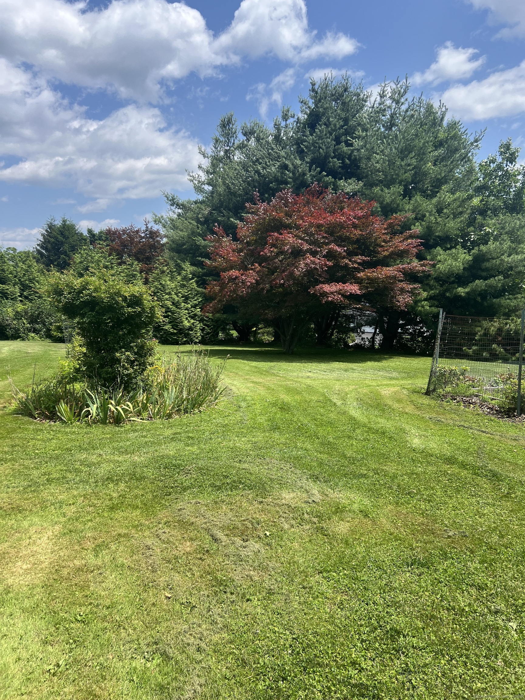 Property Photo: 185 Chimney Hill Road CT 06492