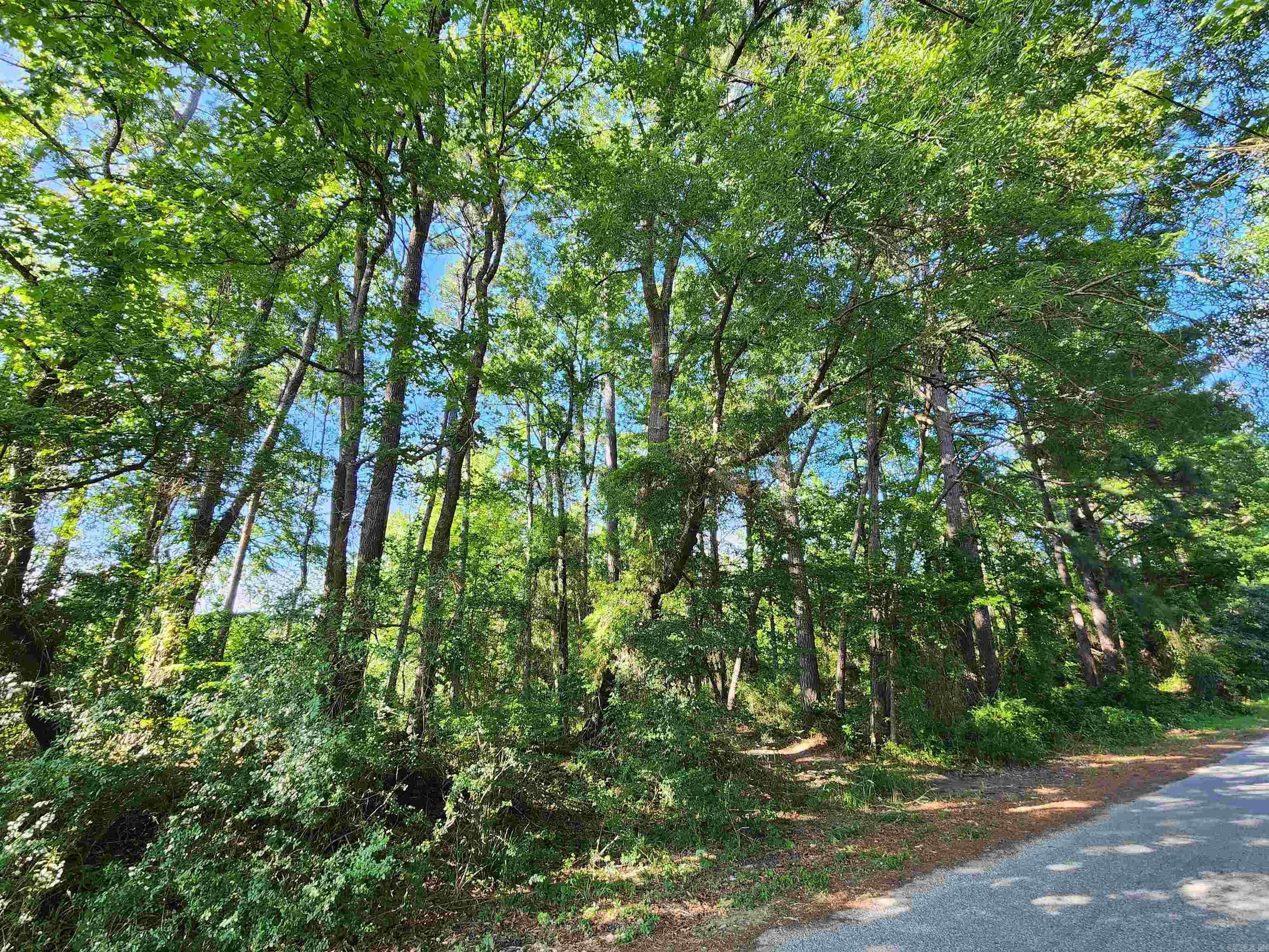 Property Photo: 000 Shannon Dr AR 72084