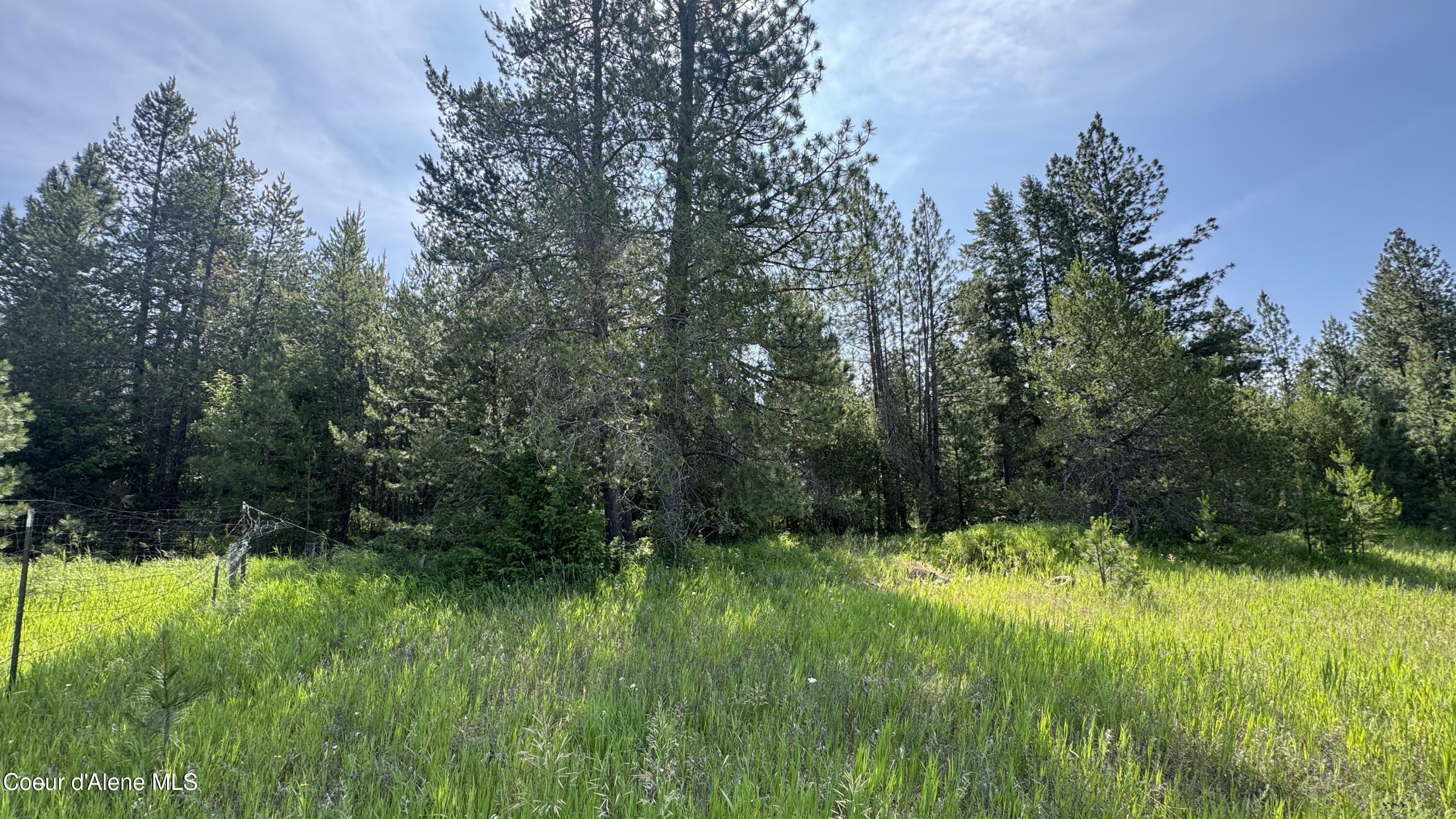 600 Rock Springs Rd  Athol ID 83801 photo