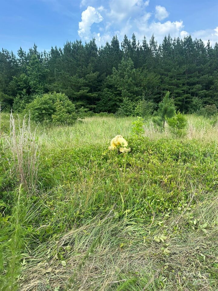 Property Photo: 0 Highway 73 Highway NC 28080