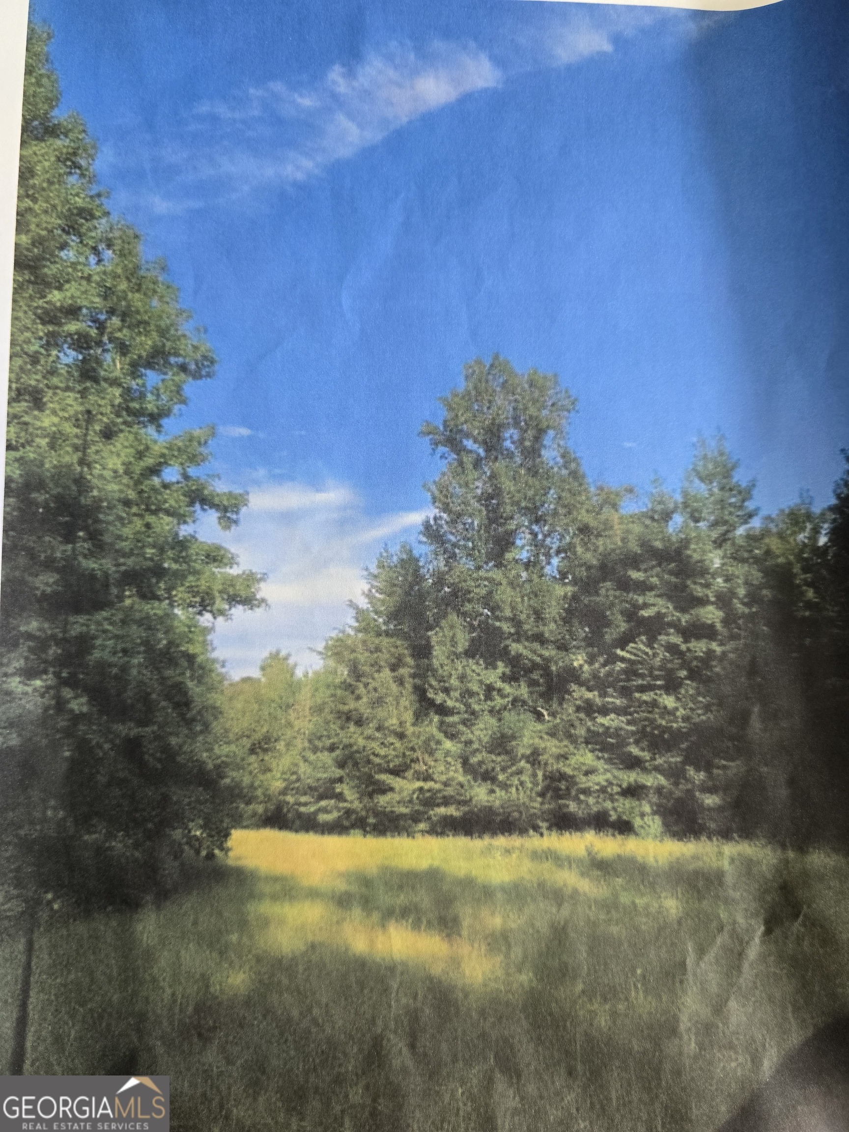 Property Photo:  0 Apt-To-Miss Road  GA 31064 