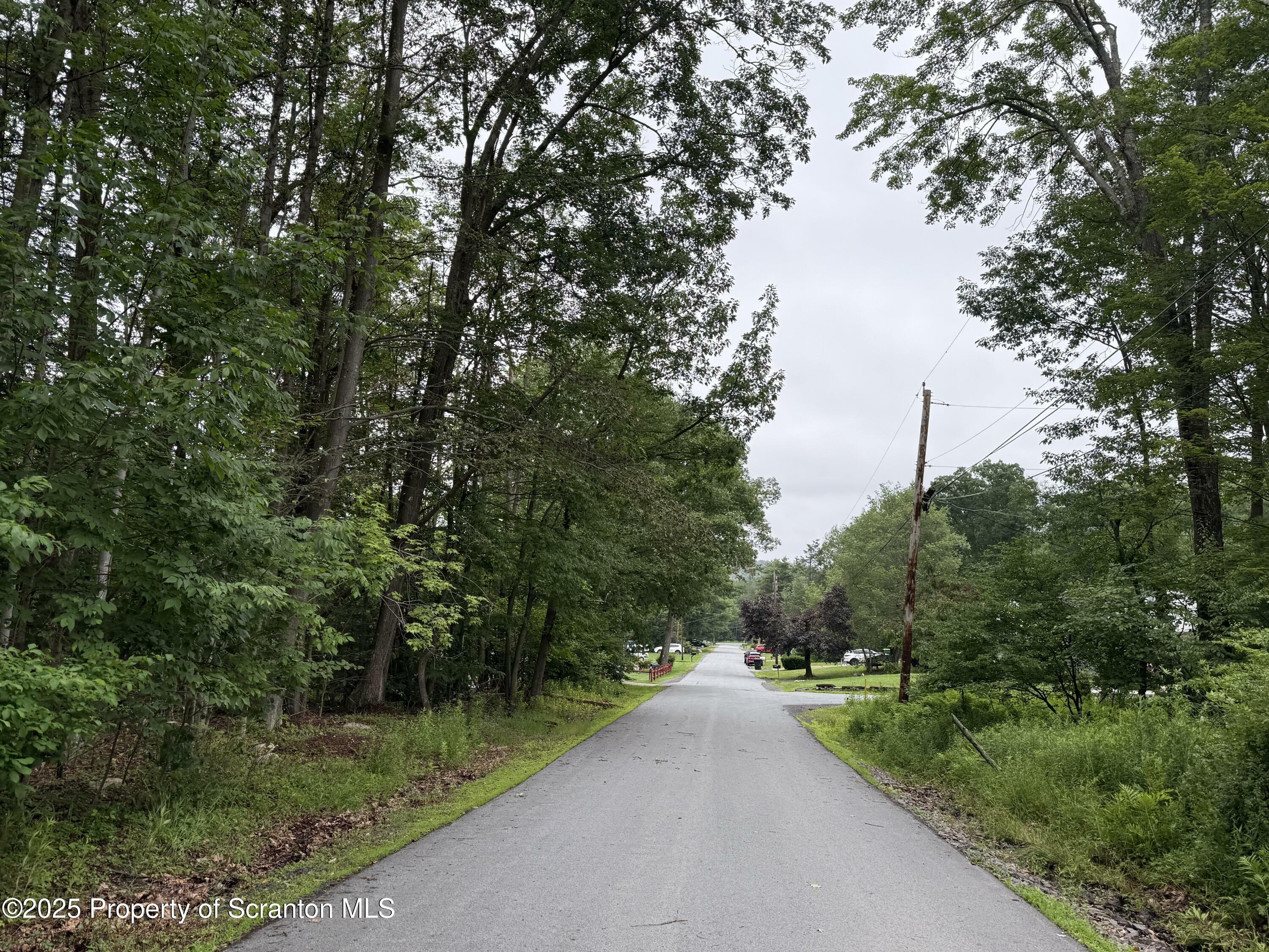Property Photo:  Isaac Road  PA 18444 