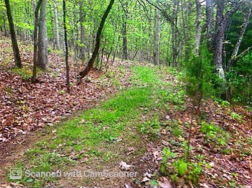 Property Photo: Iris Lane WV 24963