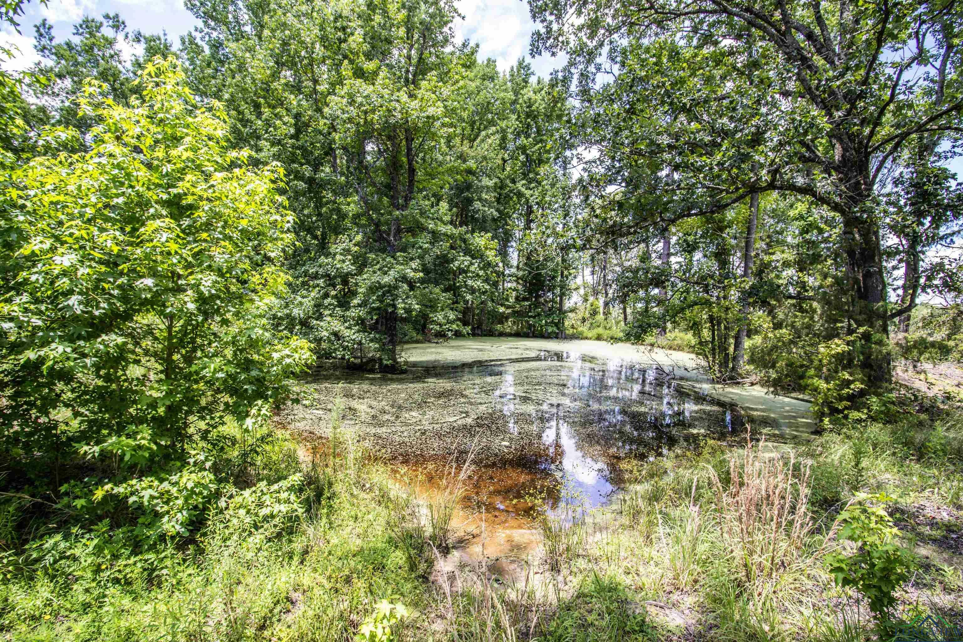Property Photo:  Tbd E Cr 2185  TX 75691 
