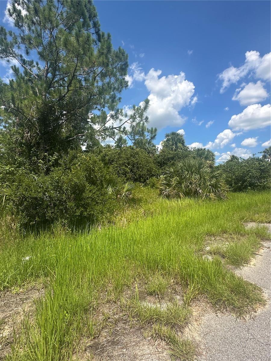 Property Photo: Hampshire Circle FL 34288