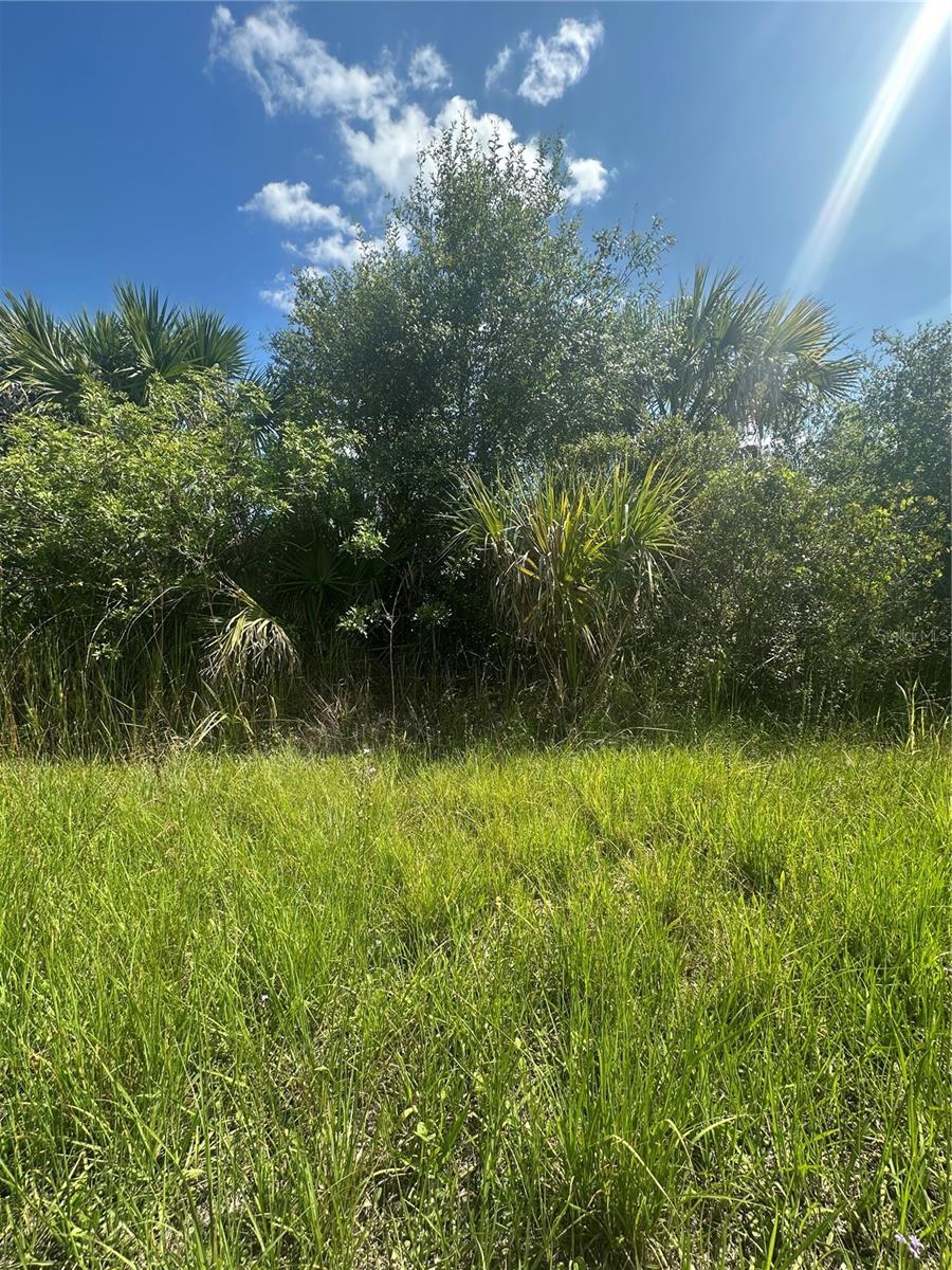 Property Photo: Snowdrift Terrace FL 34288