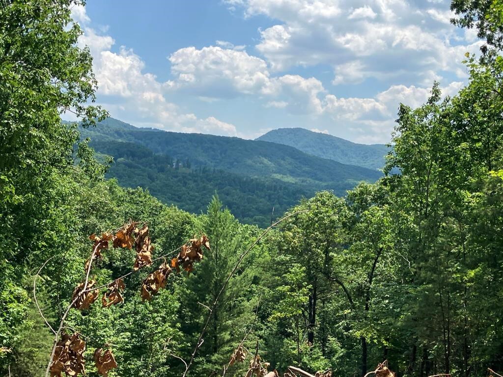 Property Photo: Lot 14 View Ridge Trail NC 28906