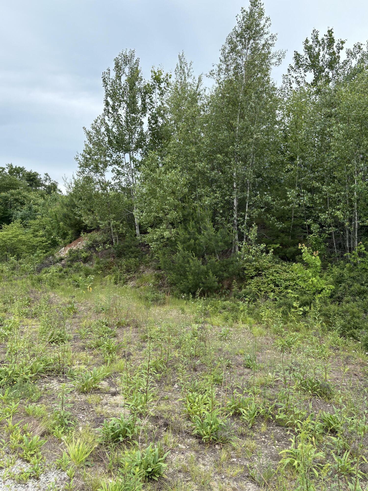Property Photo: Lot#5&7 Business Park Road ME 04048