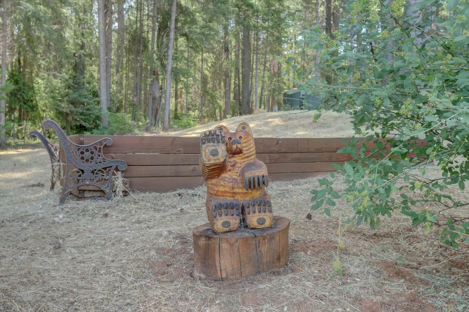 Property Photo:  480 Pike City Road  CA 95960 
