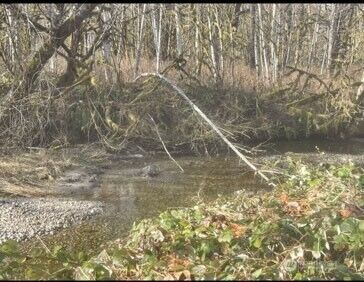 Property Photo:  0  Sauk Road  WA 98237 