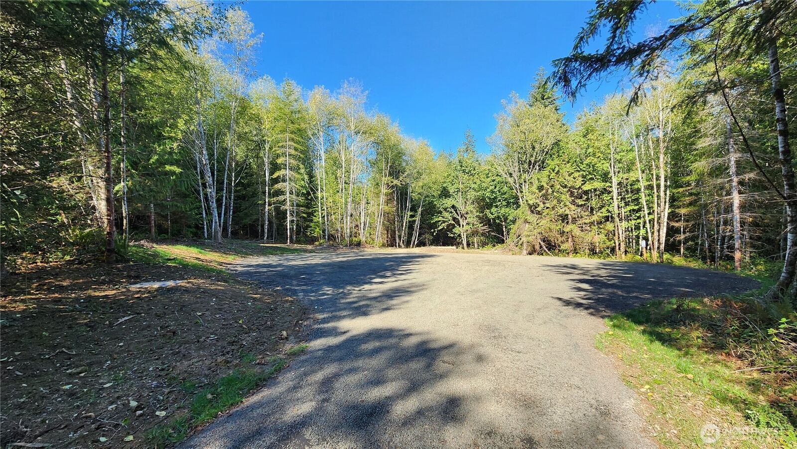 Property Photo:  5742  Duane Lane NW  WA 98502 