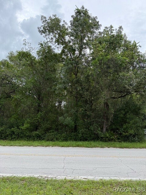 Property Photo:  7259 S Withlapopka Drive  FL 34436 