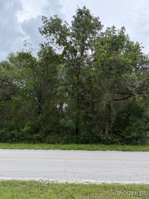 Property Photo: 7259 S Withlapopka Drive FL 34436
