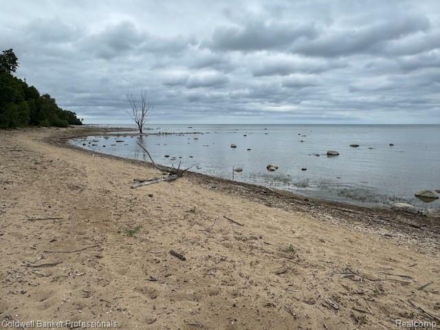 00 Lakeshore Road  Forestville Vlg MI 48434 photo