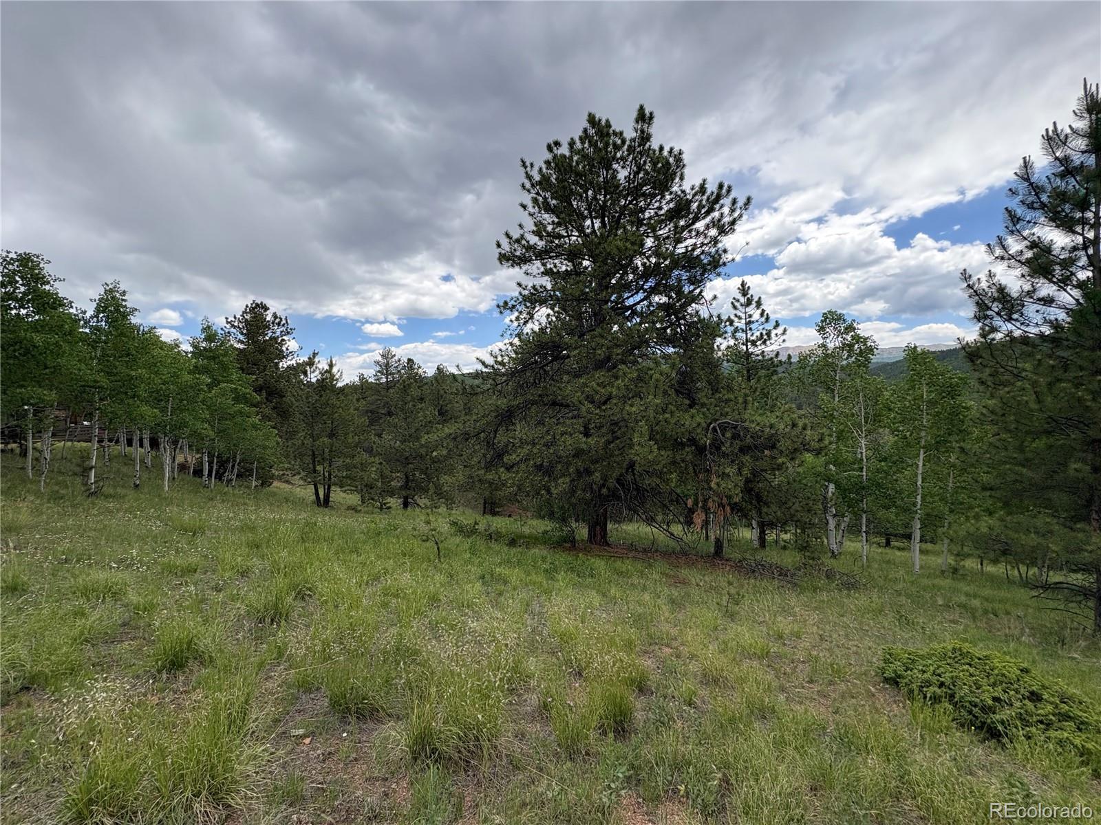 Property Photo: 532 May Queen Drive CO 80813