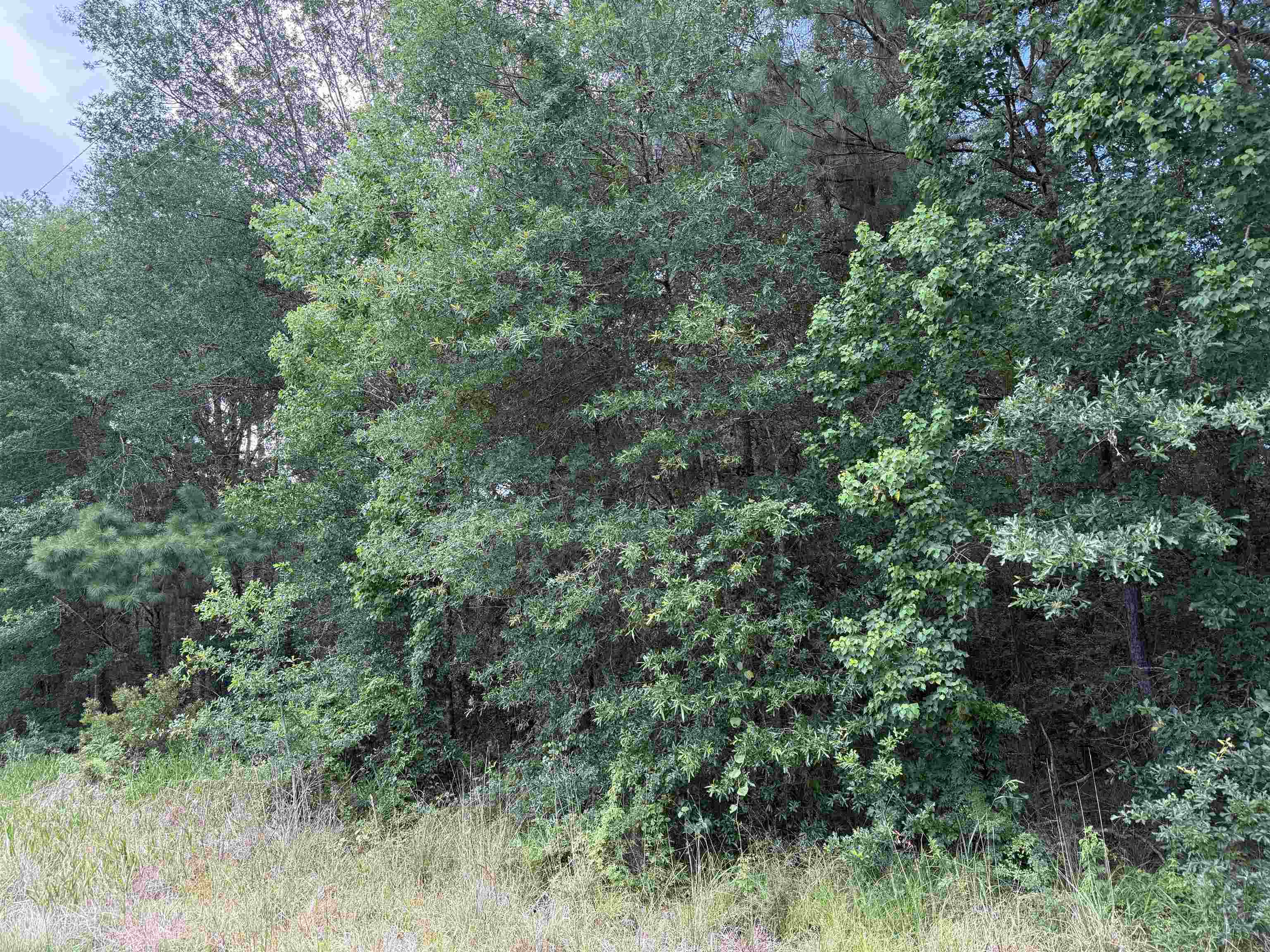 Property Photo: 1885 Bobcat Circle TX 77630