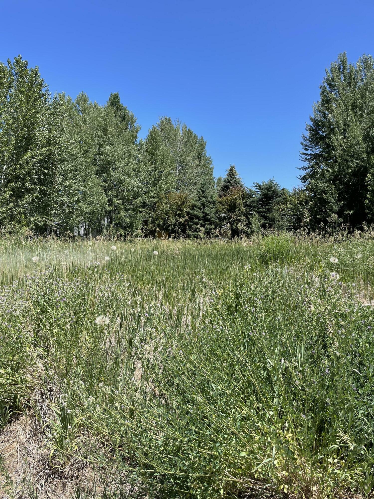 Property Photo: 520 Angela Dr ID 83333
