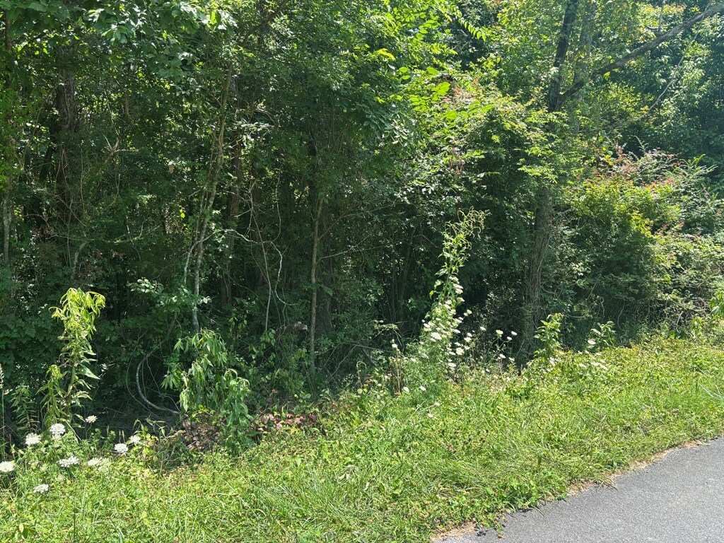 Property Photo: 0 Oakman Road GA 30732