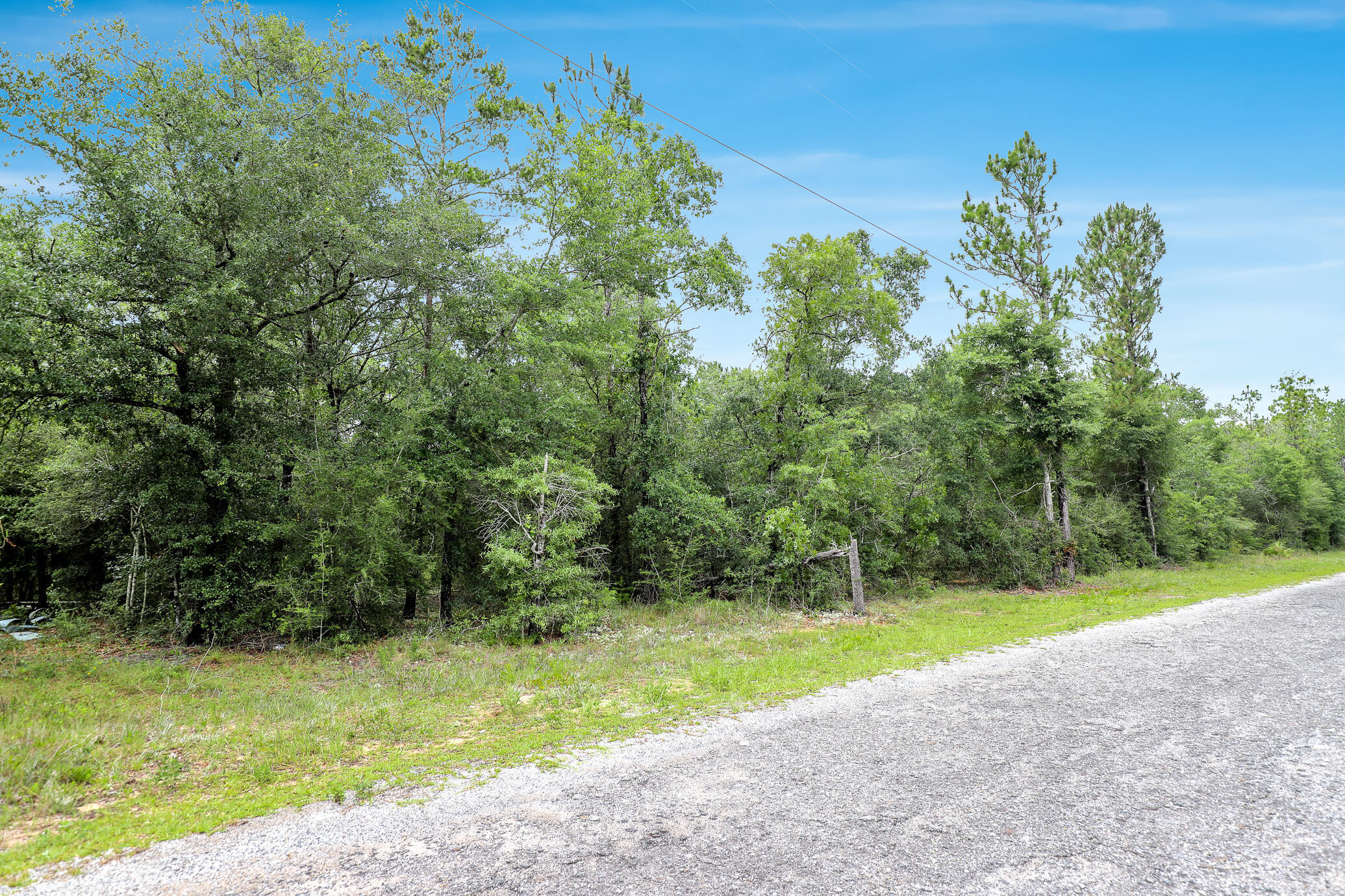 Property Photo: Lot 15 E Michaelangelo Road FL 32433