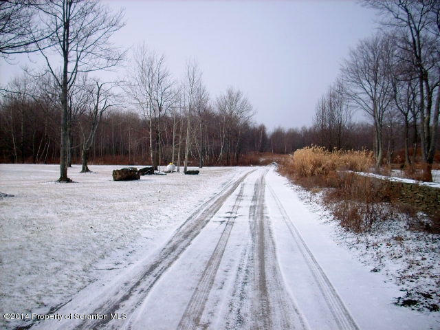 Property Photo: Route 247 Finch Hill PA 18407
