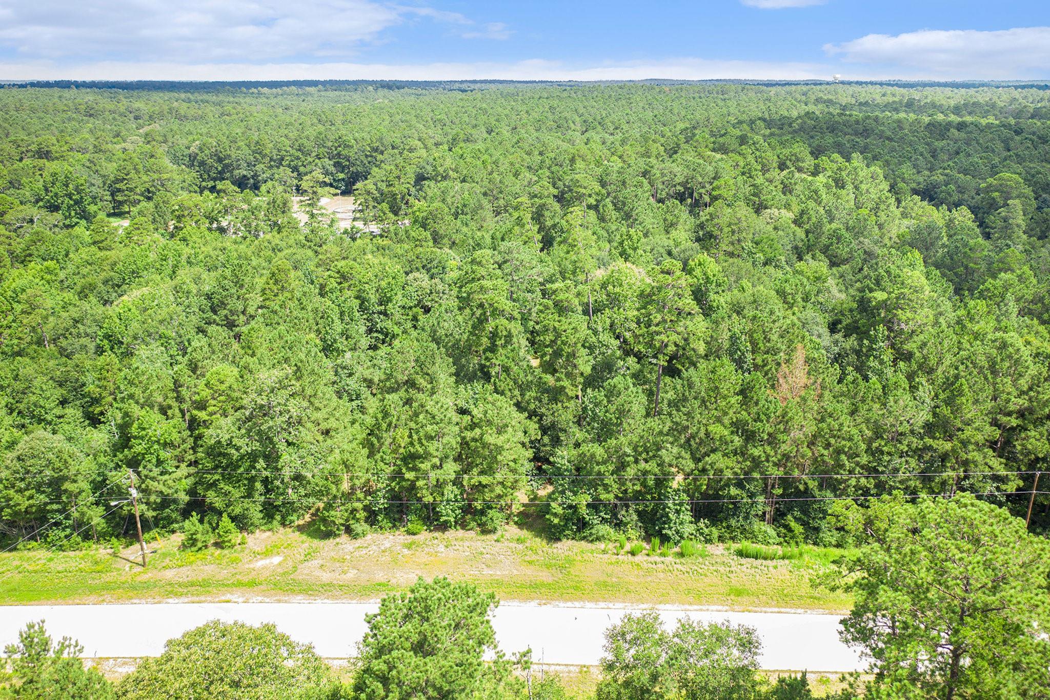Property Photo: 0 Granite Road TX 77340
