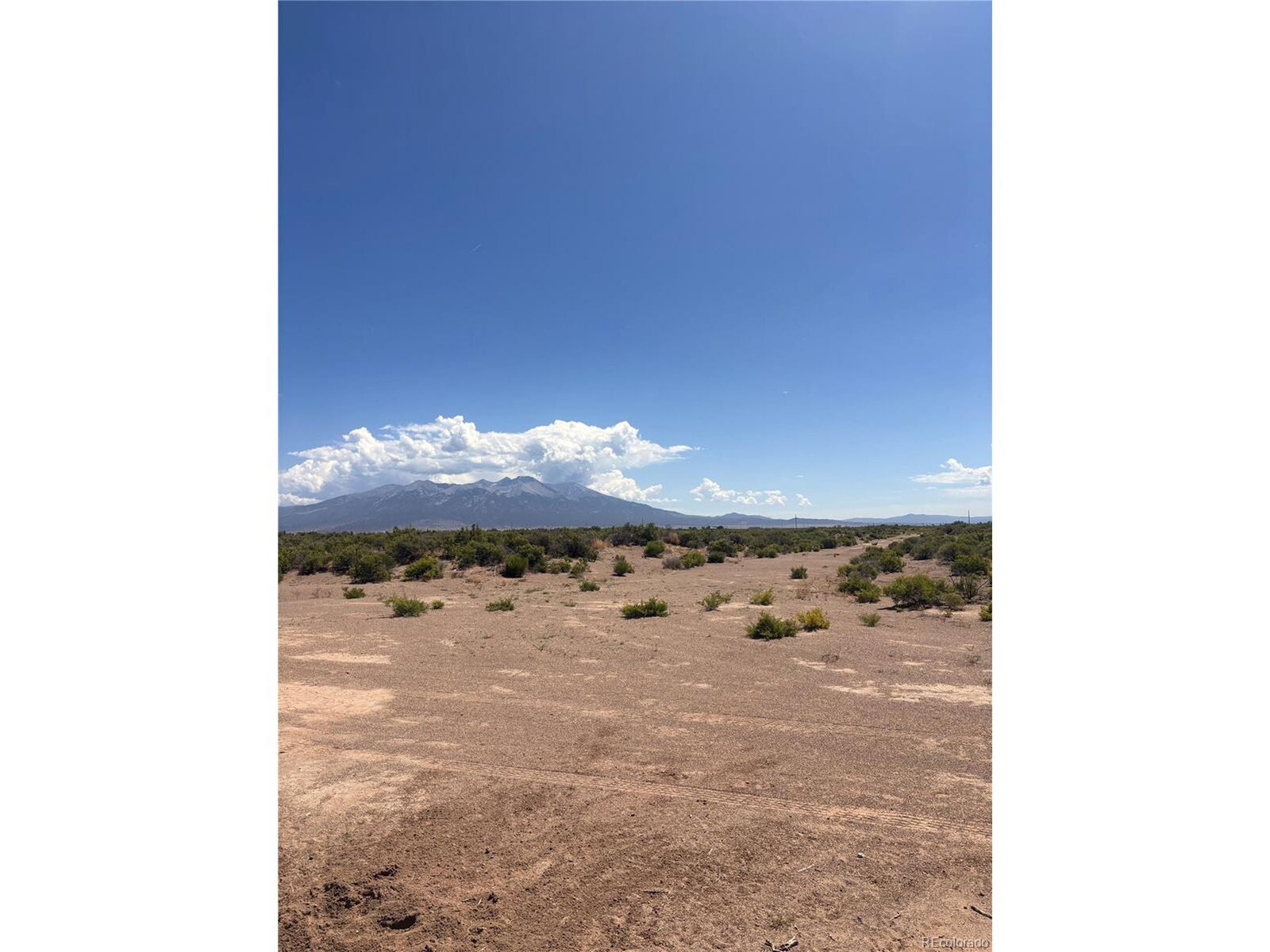 Property Photo: 15 Wild Horse Ranch #15 CO 81101