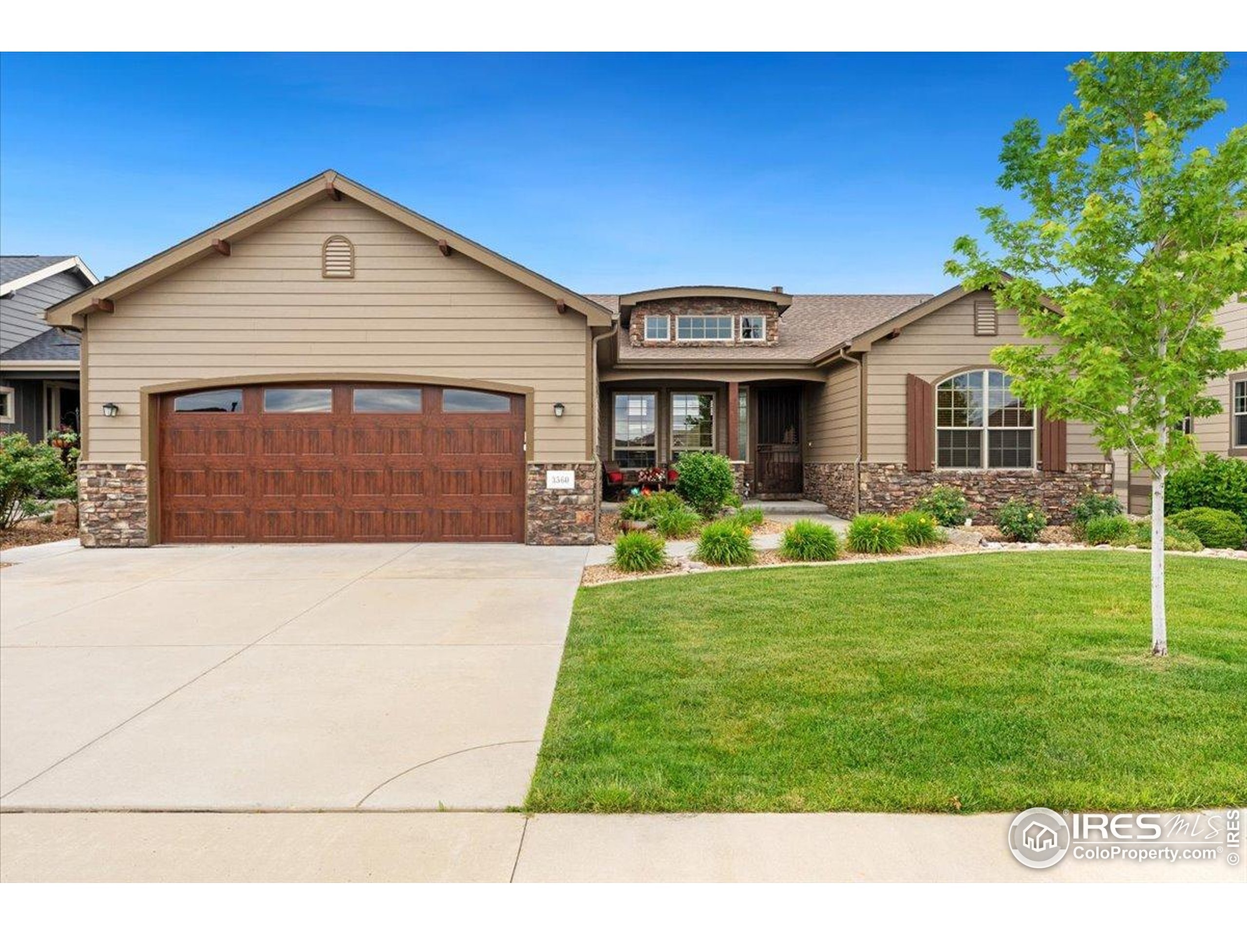Property Photo: 3560 Peruvian Torch Dr CO 80537