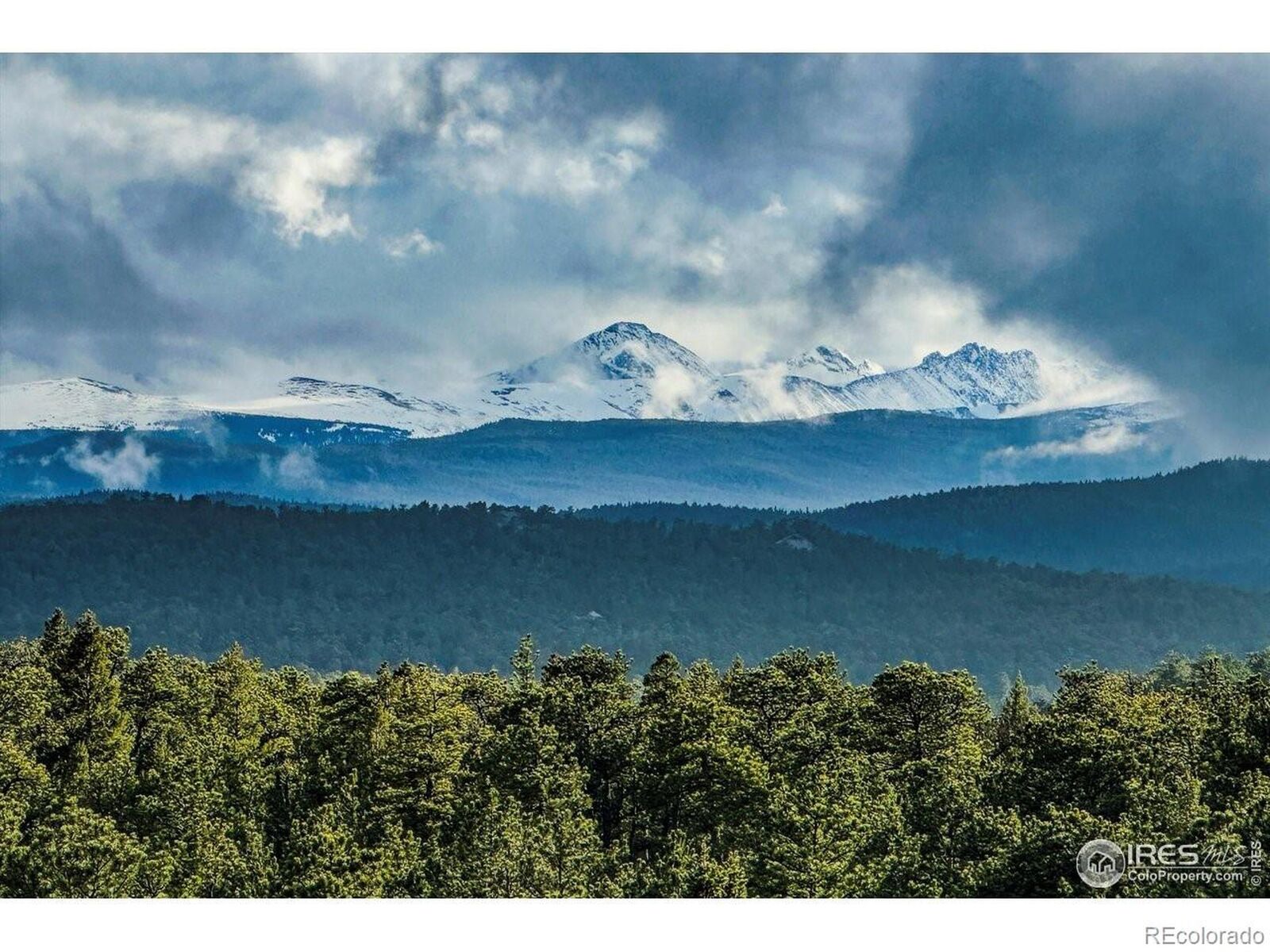 Property Photo:  18673 Highway 7  CO 80540 