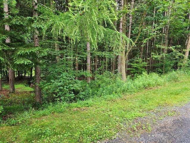 Property Photo:  0 Tyrolean Trail  PA 15834 