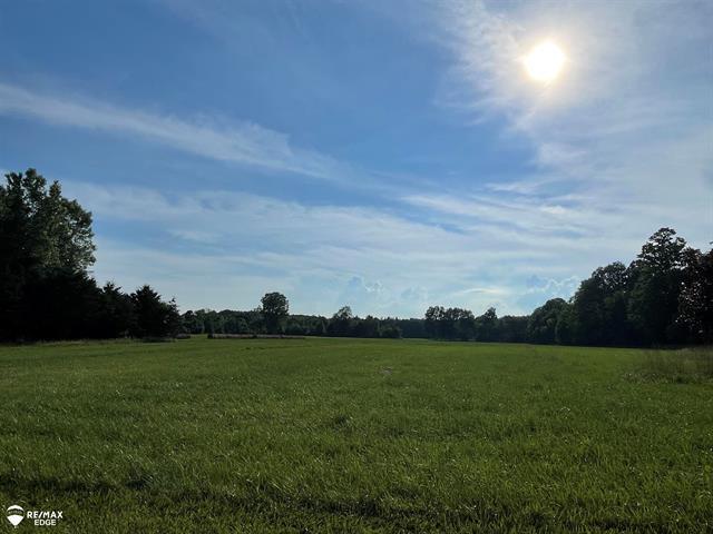 Property Photo: 6241 Oliver Road MI 48435