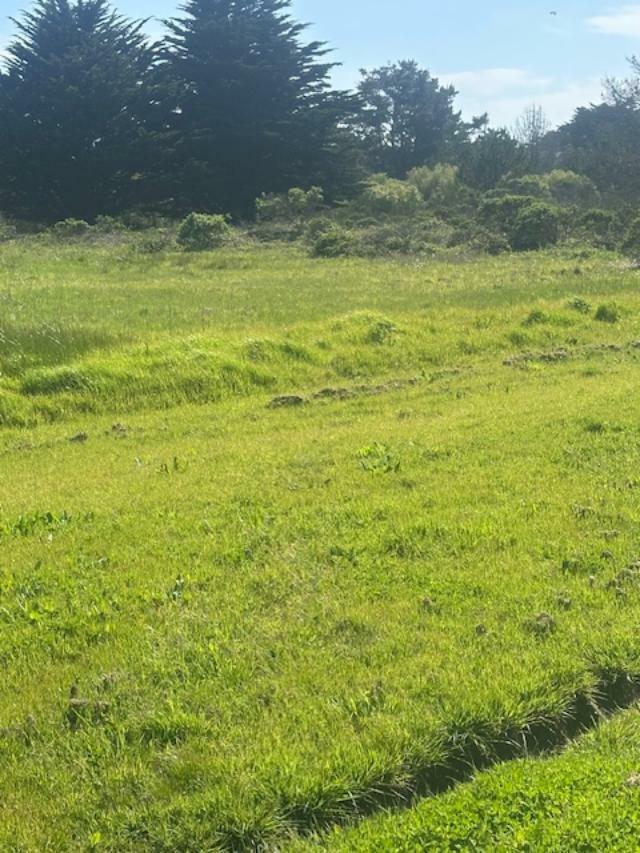 Property Photo:  100 Park  CA 94019 